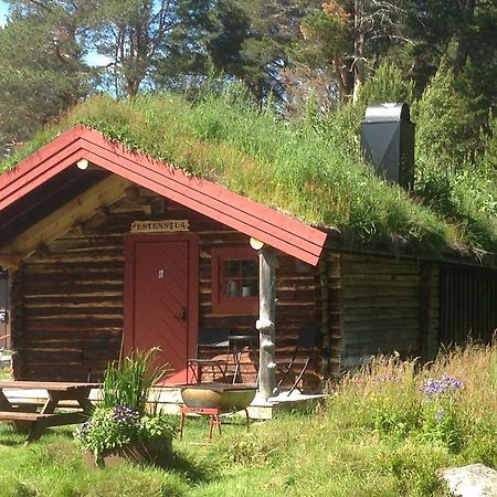 Batsto Camping Elga Zewnętrze zdjęcie