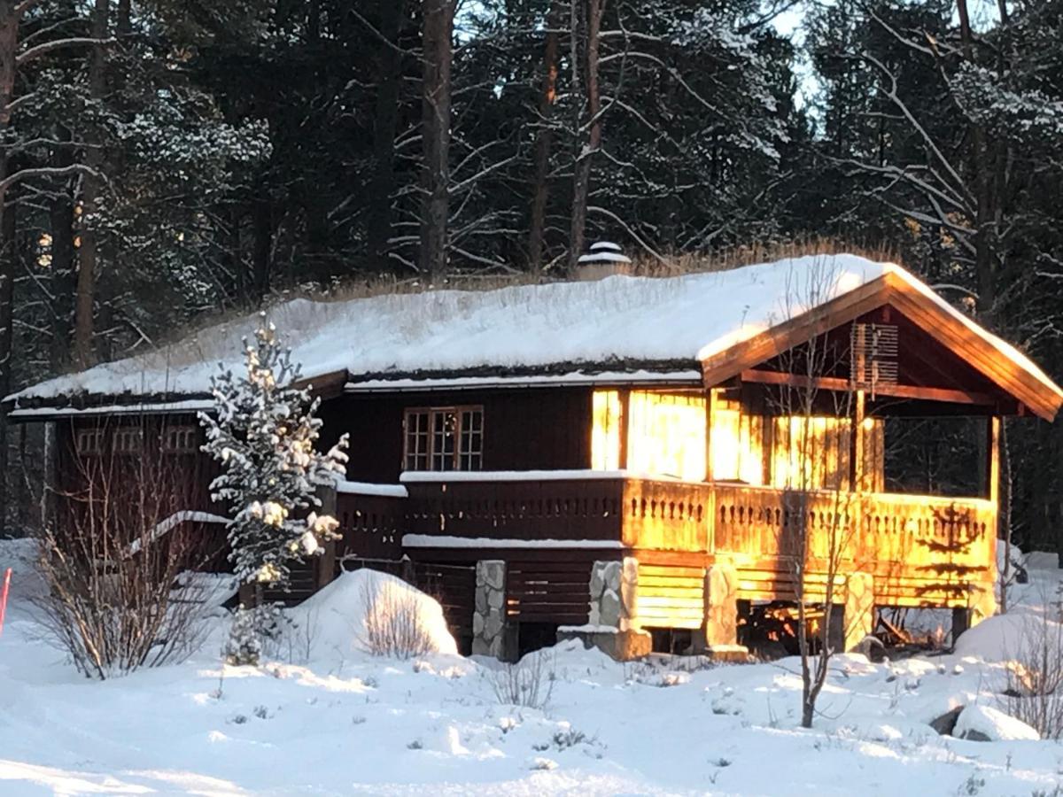 Batsto Camping Elga Zewnętrze zdjęcie