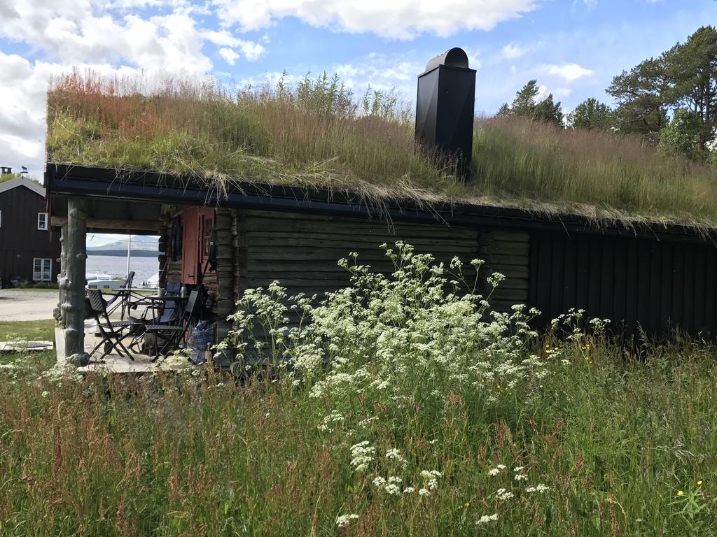 Batsto Camping Elga Zewnętrze zdjęcie