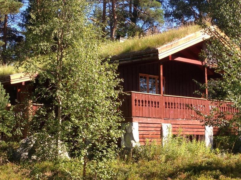 Batsto Camping Elga Zewnętrze zdjęcie