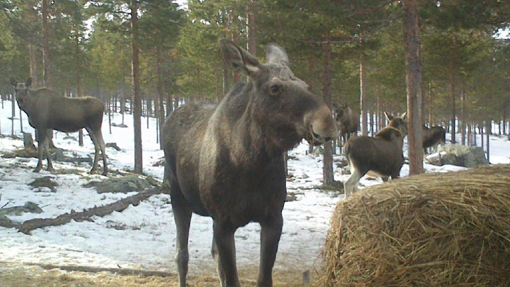 Batsto Camping Elga Zewnętrze zdjęcie
